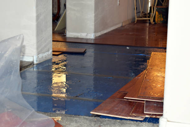 Professional Sewage Cleanup technician working in Kemp, TX